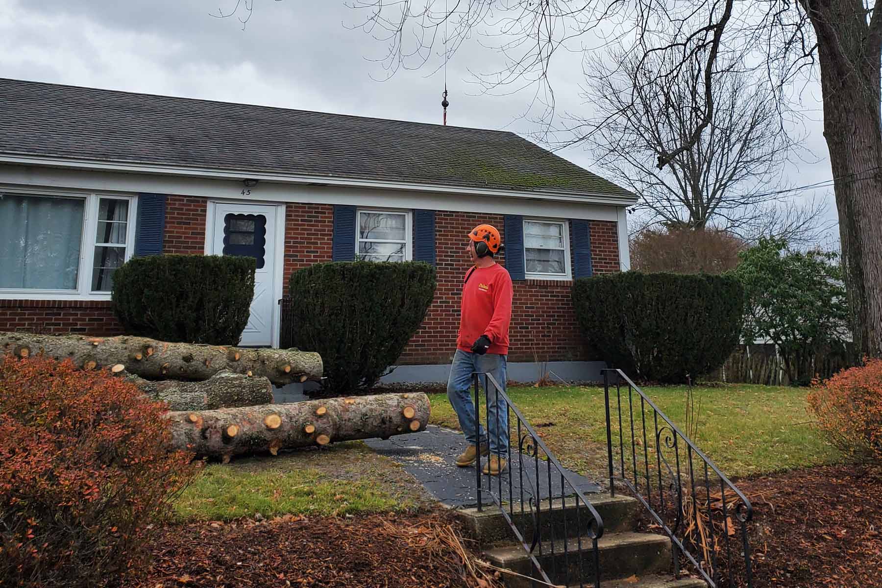 Reliable tree service solutions